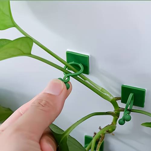 12 24pcs self plant climbing wall fixing clips heavy duty plastic indoor outdoor wall mounted hooks with green leaf design light green suitable for indoor and outdoor decoration plant vines pothos