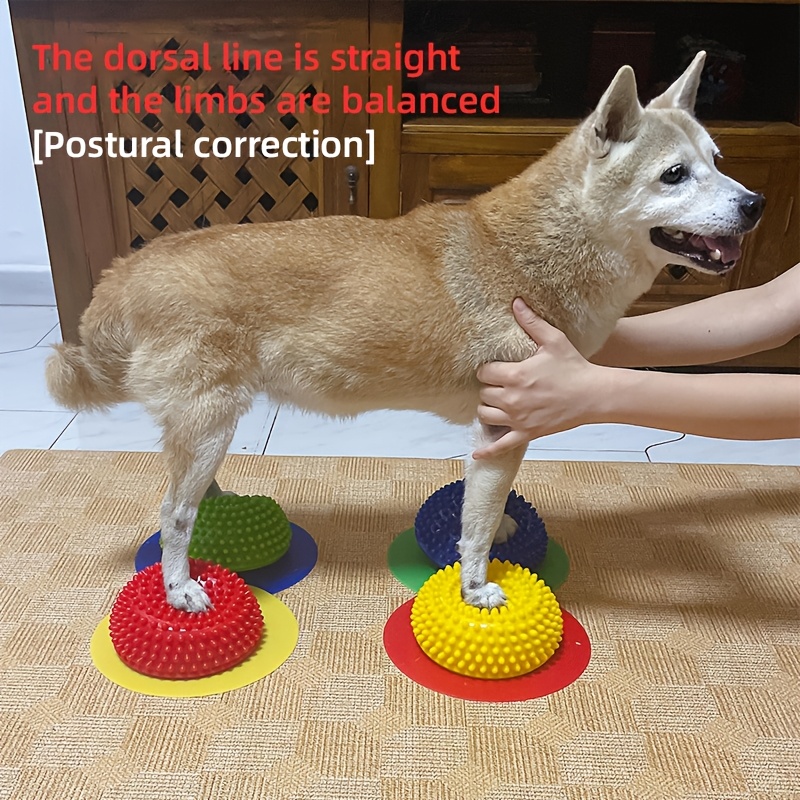 

1pc/4pcs Dog Standing Posture Correction Trainer Pvc Material 8 Colors Let Your Dog Have A Beautiful Standing Posture