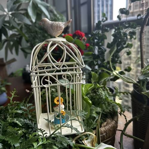 french country style retro old decorative birdcage ornaments succulent green flower iron birdcage candlestick gardening dress up layout villa courtyard garden ornaments