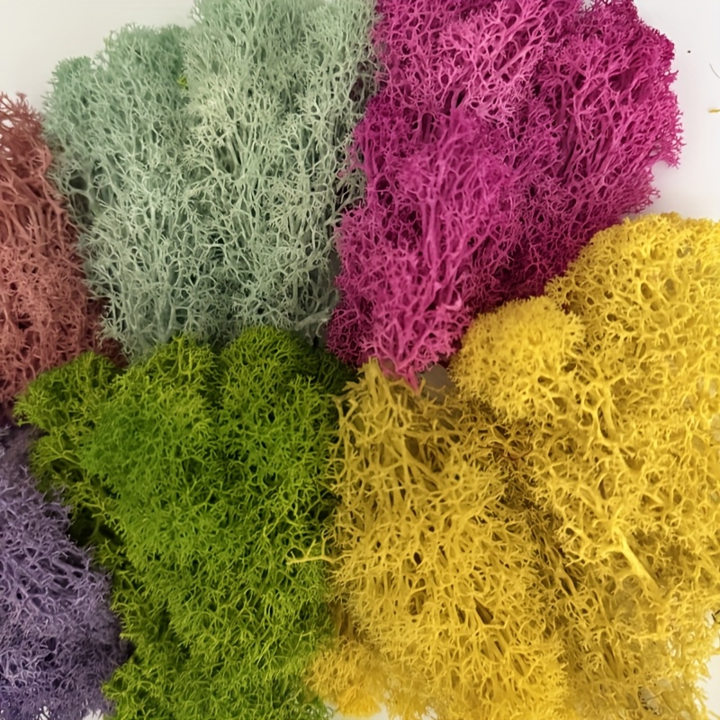 0* Lebendiges Kunst*  Farbechtes Bastel* in Gropackung fr  DIY-Modelllandschaften, Mrchengrten, Wanddekoration festliche  Tischdekoration. Erhltlich in Grn, Rosa, Lila, Gelb *. Ideal fr ...