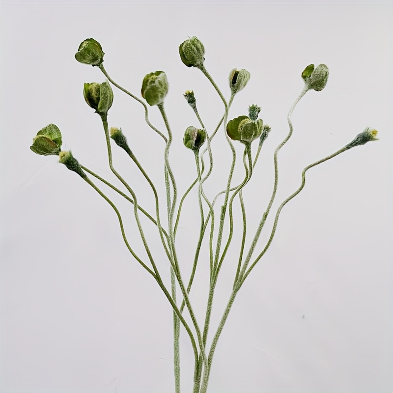Image of 3pcs Artificial Flocking Poppy Green Flower Bud Simulation Green Plant Suitable For Bouquet Decoration Supporting Role Desktop Garden Kitchen Decoration Indoor And Outdoor Decoration