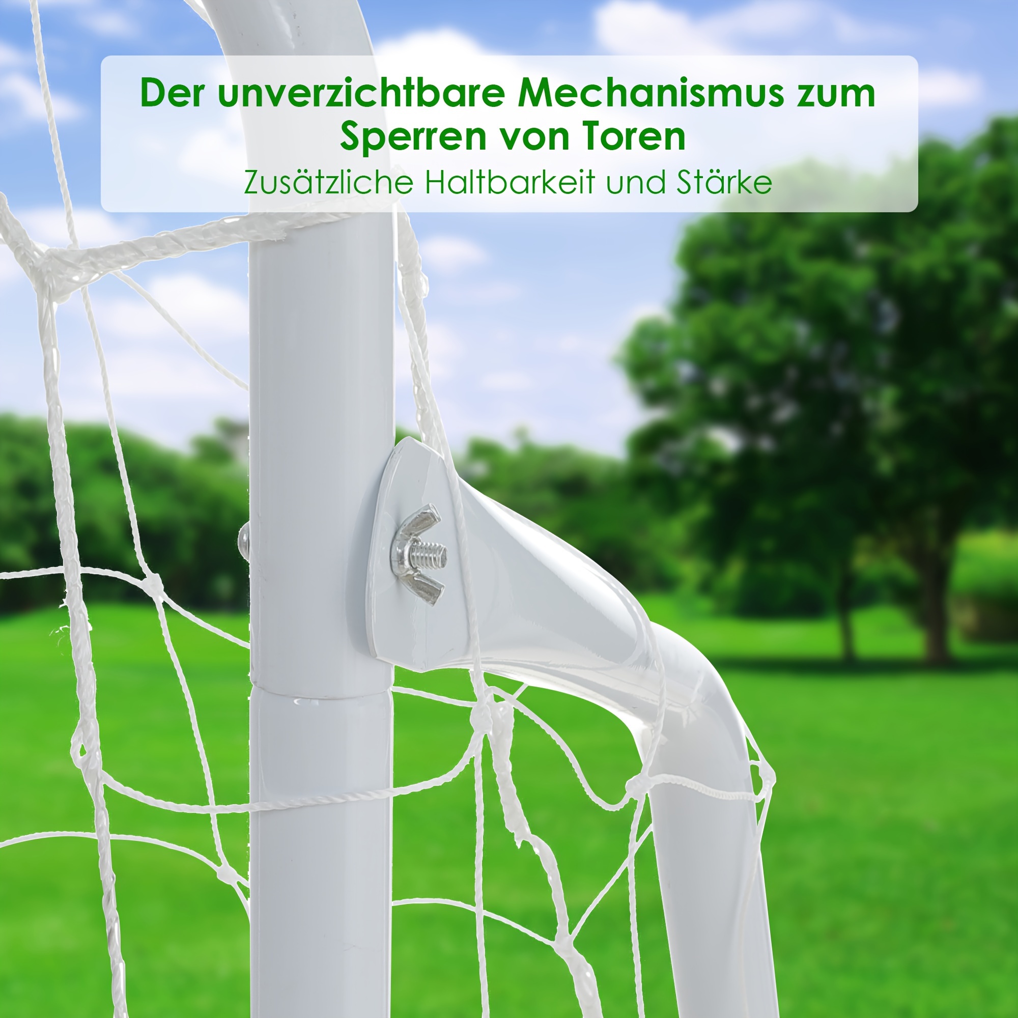 Bb874507 4714 46e3 Bab0 D718f2456657