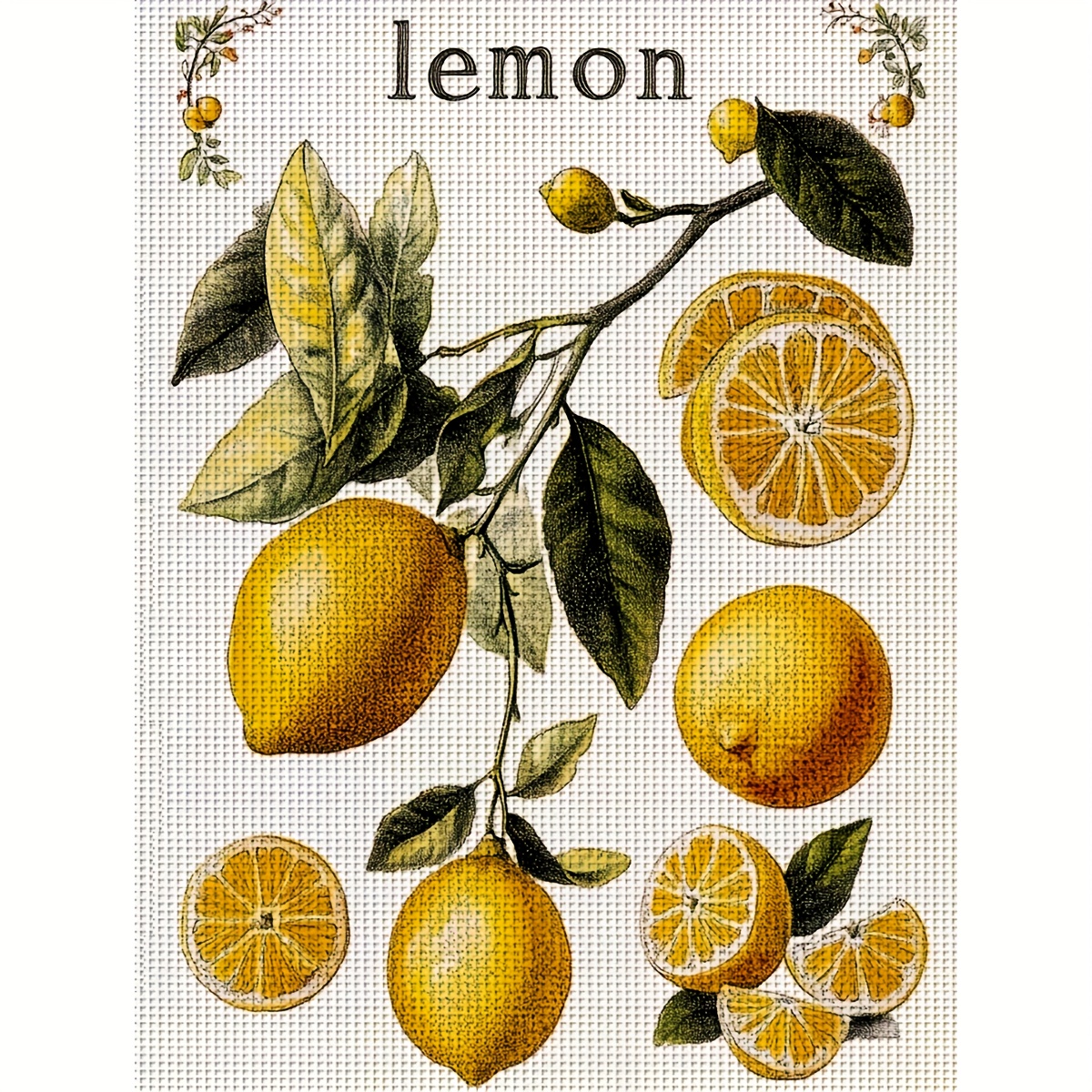 TEMU ZUOANLF 1 Set 30*40Cm/11.8*15.7In Frameloze 11CT/14CT Gestempelde Kruissteek Kit, Fruit Serie, Citroen, Granaatappel , Geschikt voor Volwassen