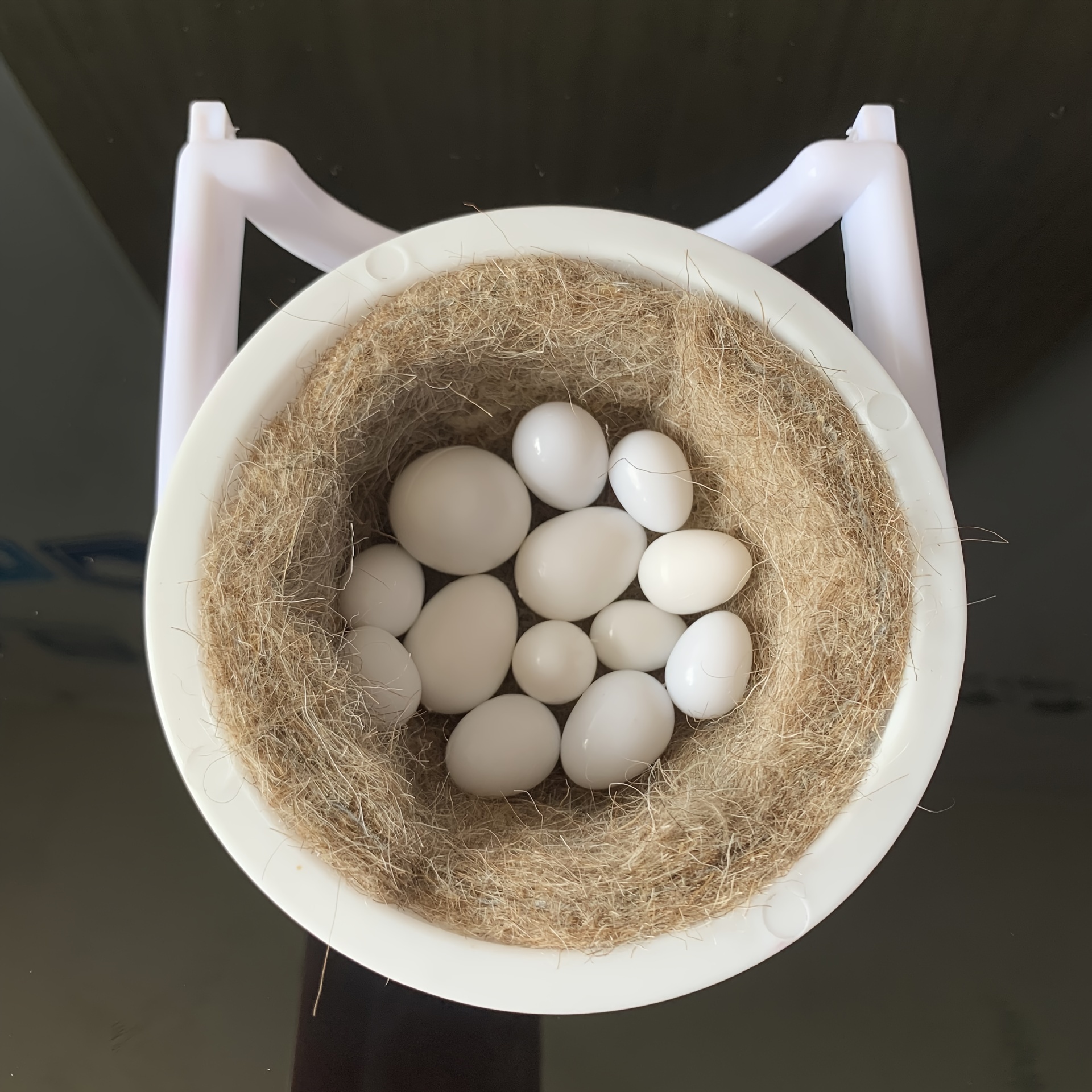 

1pc Polycarbonate Bird Nest For Breeding, Durable Plastic Bird House For Birds, Enclosure And Nesting Accessories, Avian Supplies