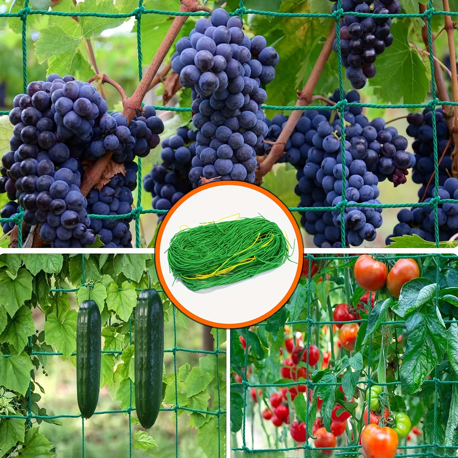 

Pe Garden Trellis Netting For Climbing Plants, Support For , Vine, Vegetables, Fruits, Flowers, Tomato - 1 Pack Arbors Mesh For Garden Plant Support