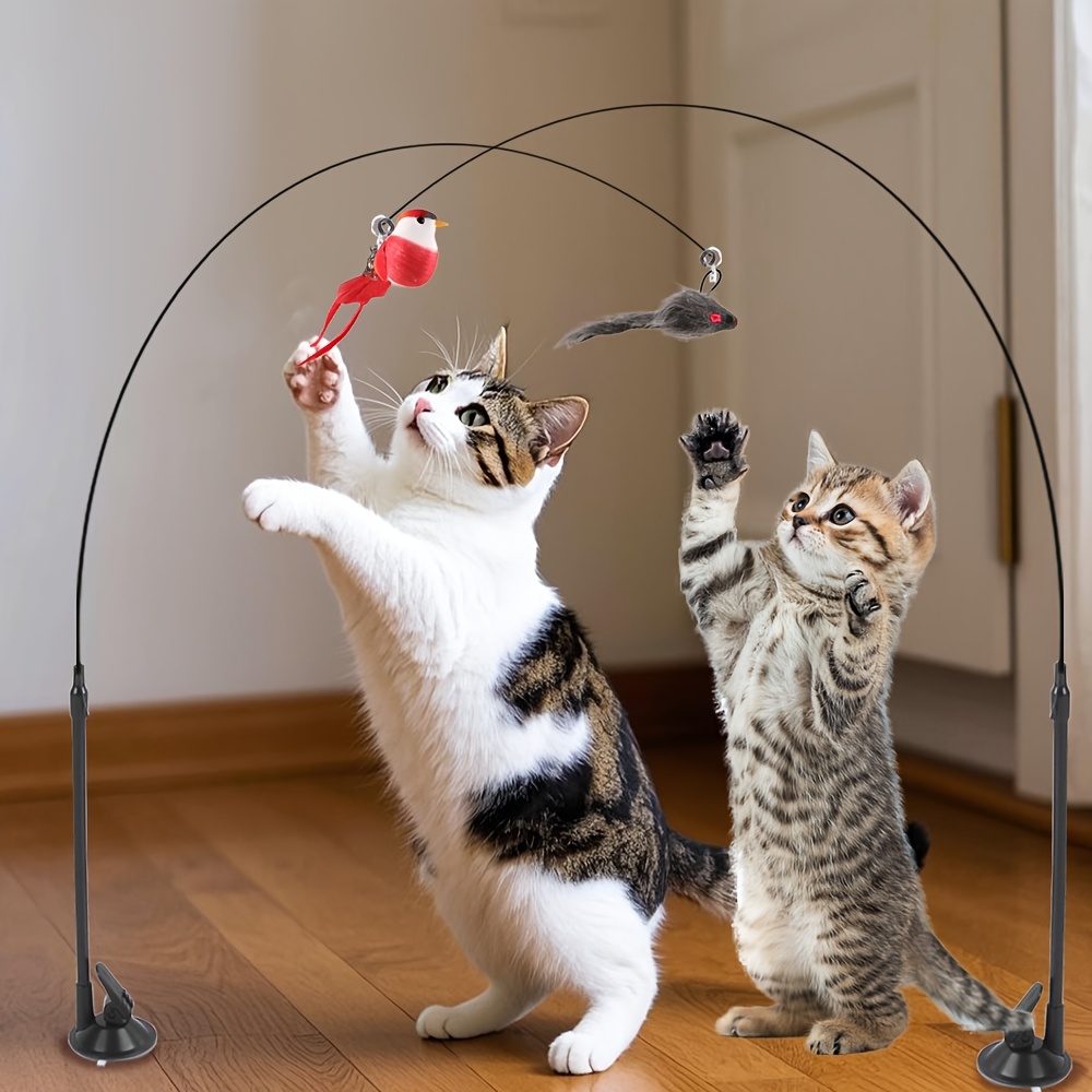 Set de jucării cu pisici de desene - 3 bucăți cu șoareci și păsări