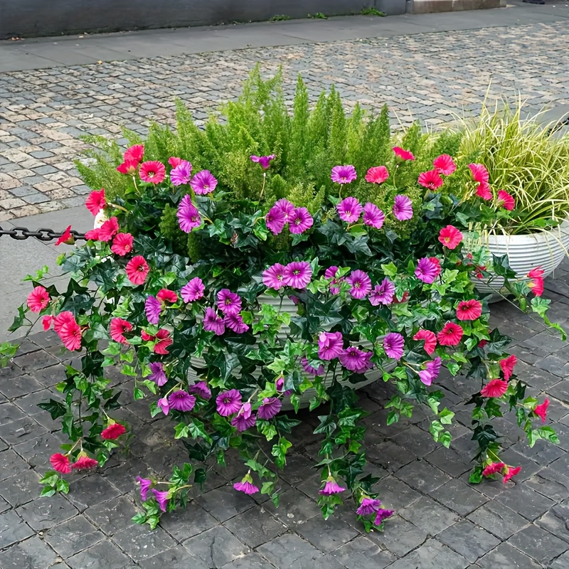 where can i buy lavender plants near me Lavender