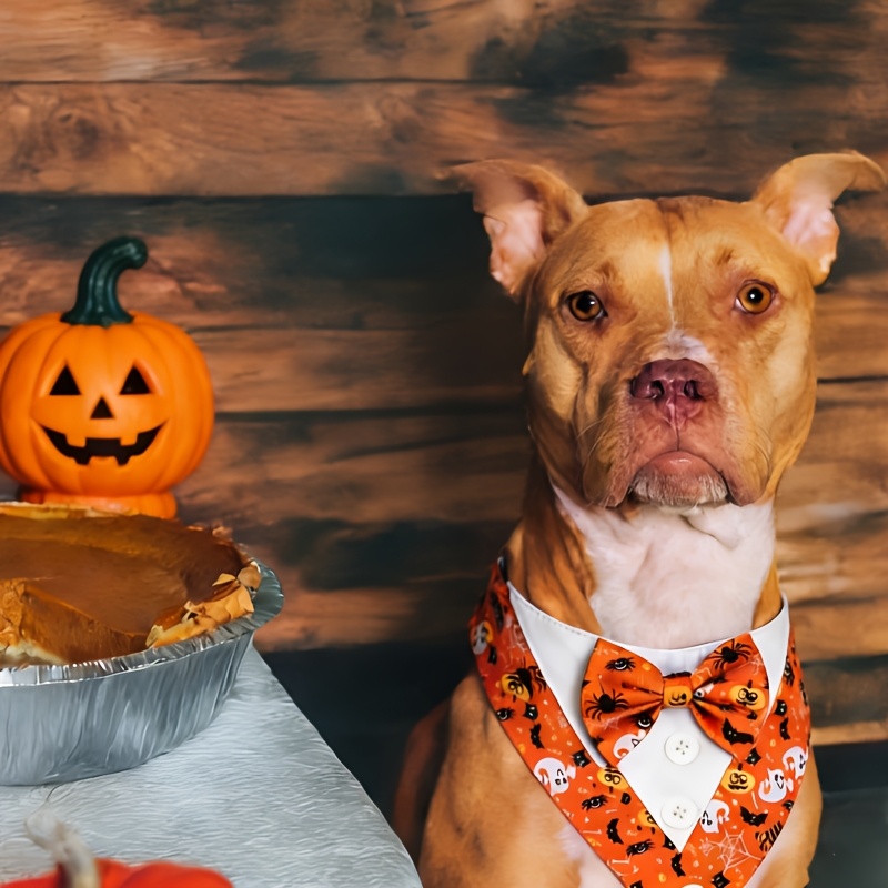 Plaid Bow Tie Pet Collar for Festivals and Special Occasions