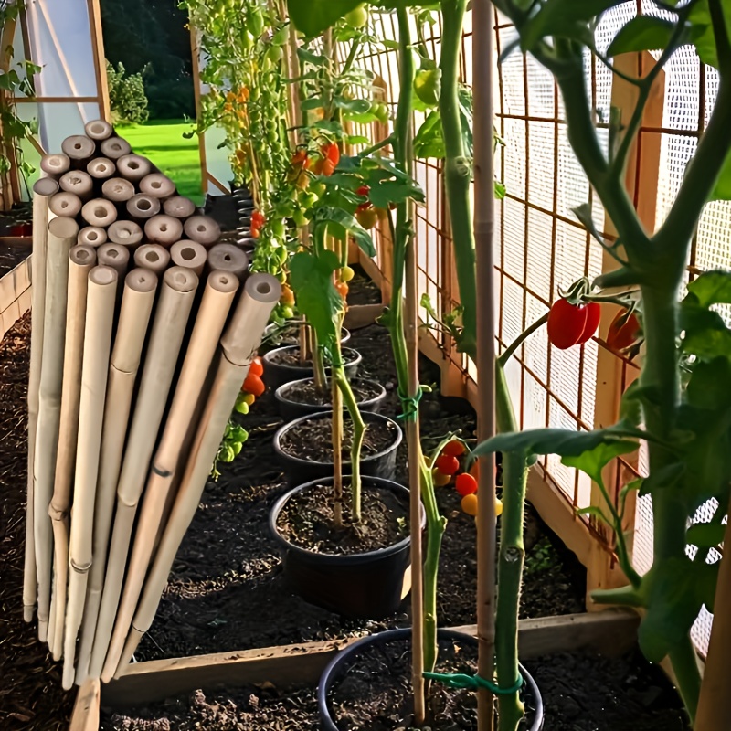 50 Pflanzenstäbe 40 Cm + 100 Clips – Grüne Stützstäbe Für Garten, Tomaten & Kletterpflanzen