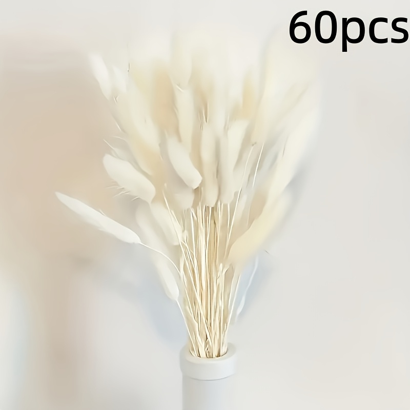 Image of 60pcs Of 's-tail Grass For Summer Decor, Perfect For Weddings, Christmas, And Thanksgiving Home Embellishments. Ideal For Enhancing Of Living Rooms And Offices