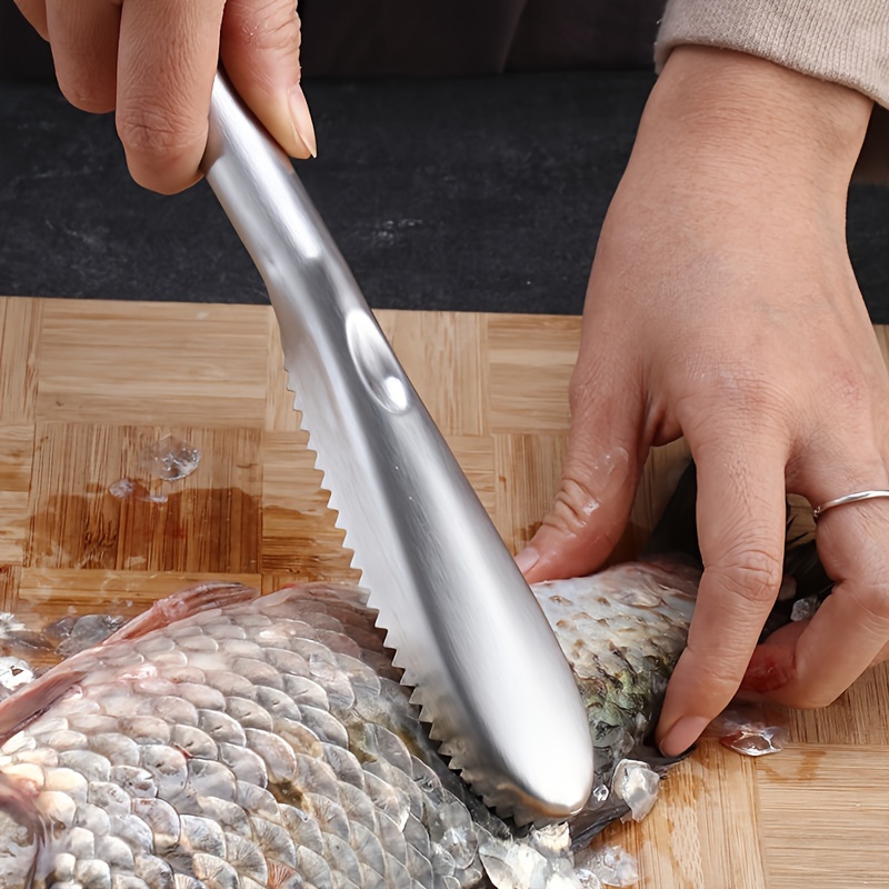 Upgrade Your Kitchen with this 1pc Stainless Steel Fish Scaler - Perfect  for Cleaning Fish & Scrapping Scale!