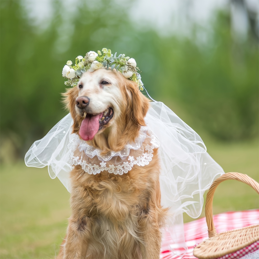 Romantic White Lace Pet Scarf, Cute Wedding Dress Style Dog Bandana, Cat *  Pearl Outdoor Accessory, Golden Retriever Touring Dog, Spring Summer Outing  Lace Trim, Suitable for Cats and Dogs 1-40kg