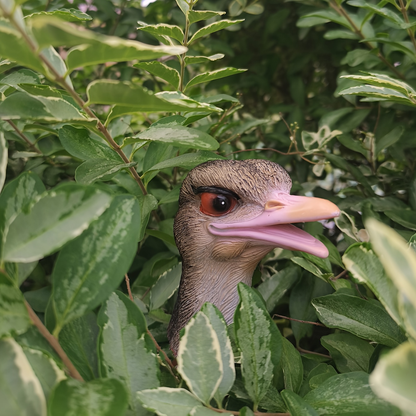 Image of 1pc Collectible Figurine, Garden Decoration Resin Craft, Yard Lawn Decorative Art, Flowerpot Bonsai Statue, Realistic Ostrich , Ideal Holiday Gift, Must-have Decorative Statue For Bird Lovers