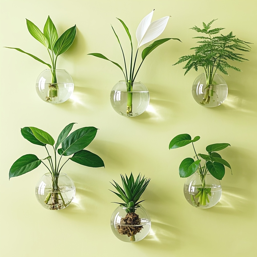 TEMU Wall Hanging Glass Terrariums Planter Flower Vase For Hydroponics Plants, Bathroom, Home Office Living Room Decor, Set Of 2/4/6