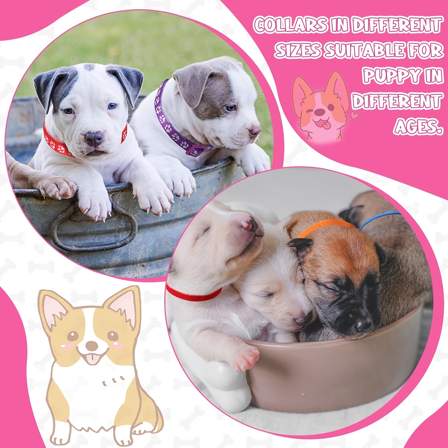 All4pet Welpenhalsbänder Aus Weichem Nylon – 12 Stück Set, Verstellbar & Farbenfroh Für Junge Hunde