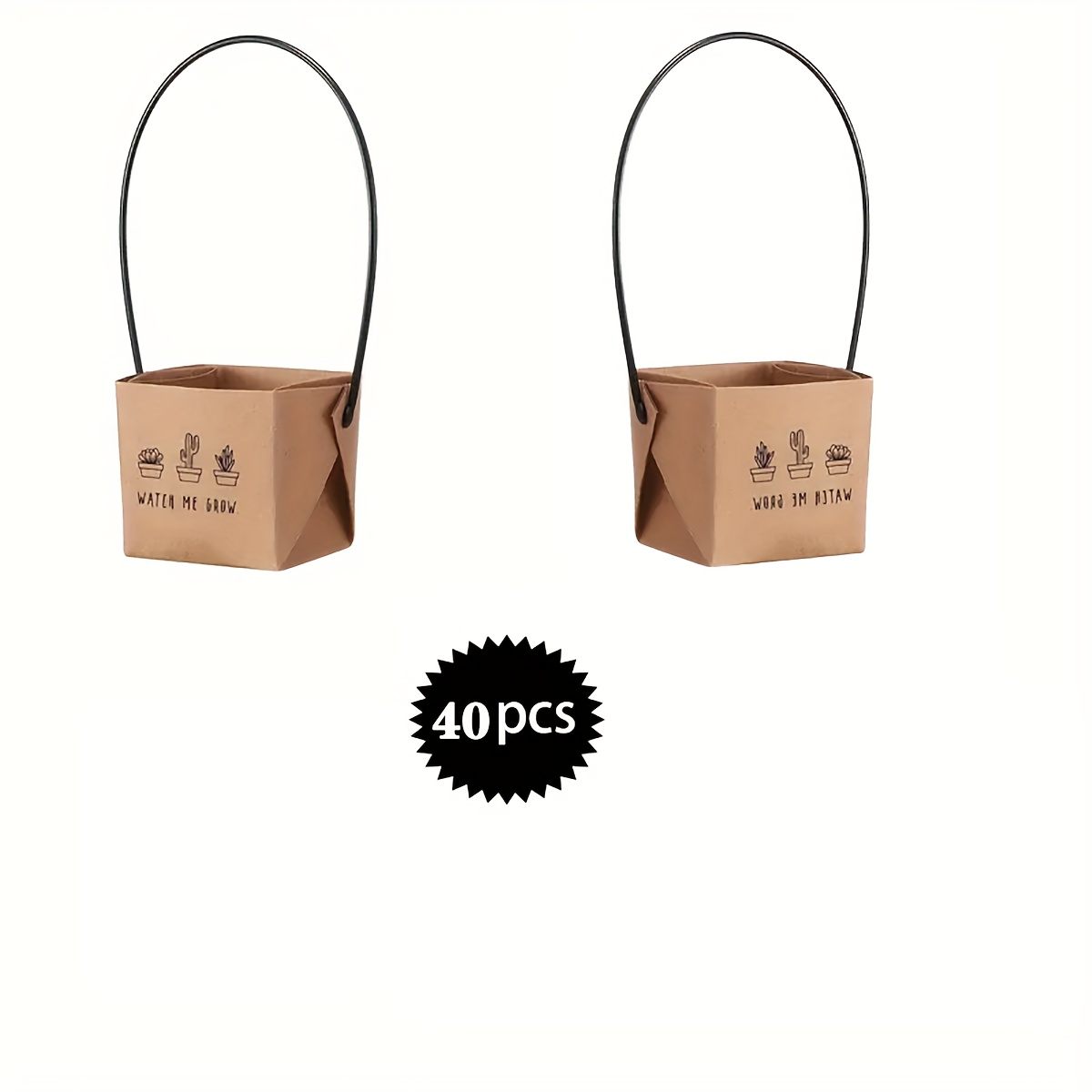 E-shop Geschenk für Sie/Ihn 40-teiliges Mini-Sukkulenten-Geschenkset - Kreative Kraftpapierbox für Lehrerwürdigung und