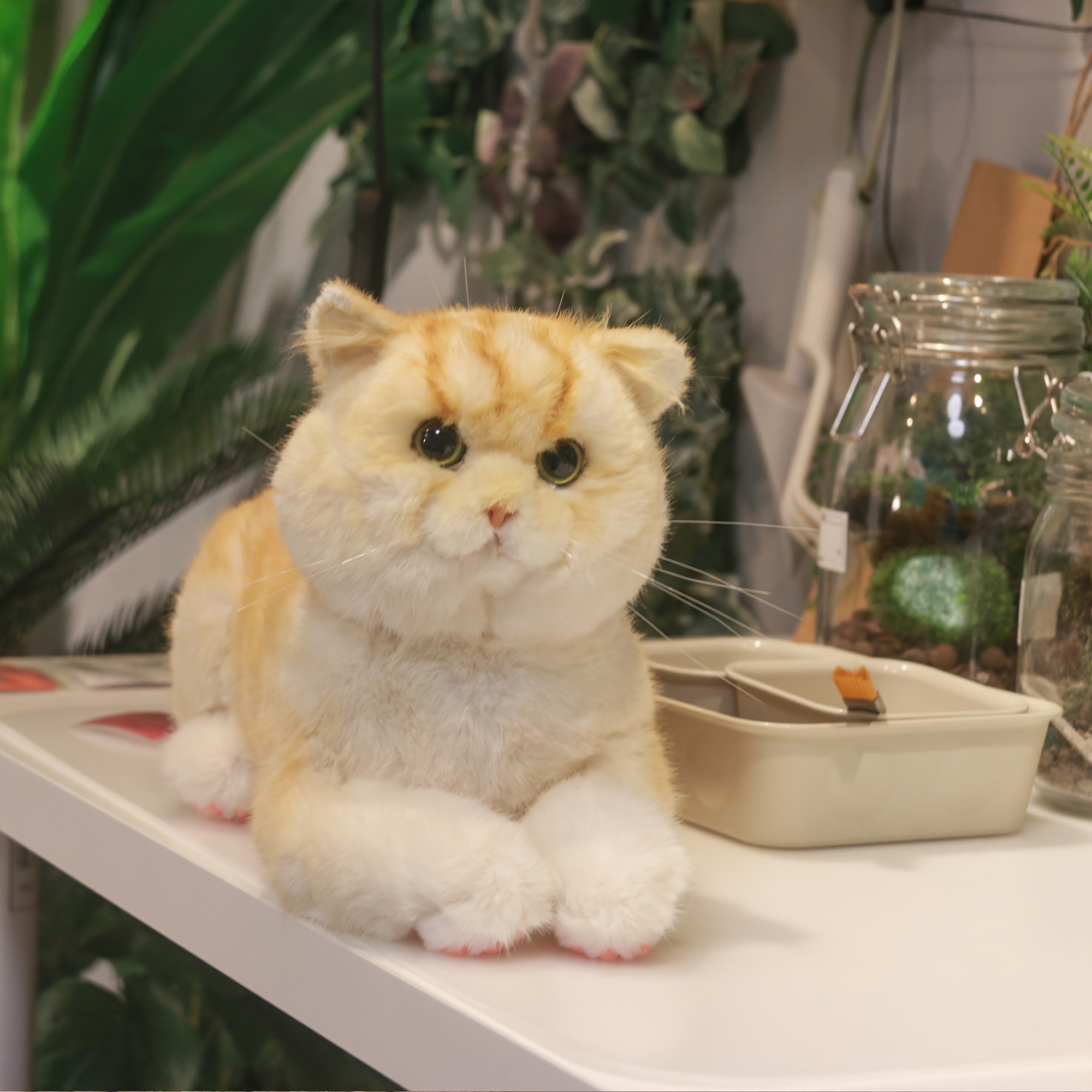 British shorthair clearance stuffed animal