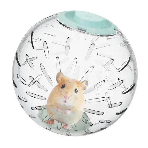 hamster toys for kids sold on Temu United States