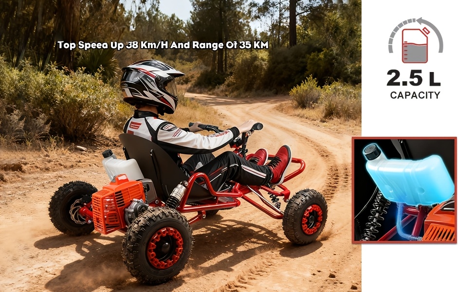 adult go-karts and   off- -karts, 6-inch off-road tires, rear disc brakes Product details 13