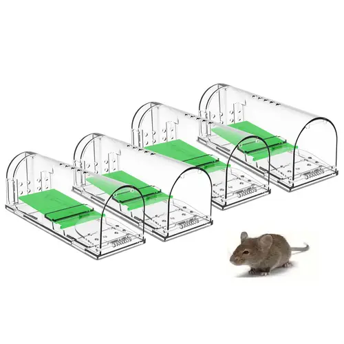 Ball Fly Insect mouse sticky traps sold on Temu New Zealand