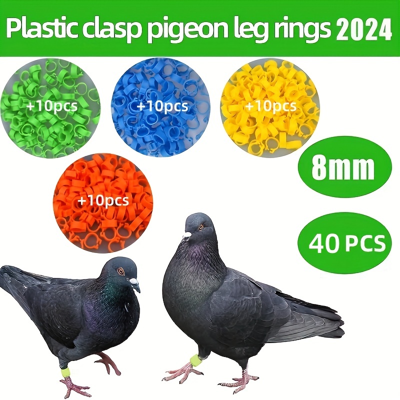 

40pcs Assorted Colors Bird Leg Rings, 8mm Inner Neck, Identification Clasp, Parakeet Leg Bands, Universal Bird Foot Rings, & Remove Design, Plastic Material, Pet Supplies - Bird Toys