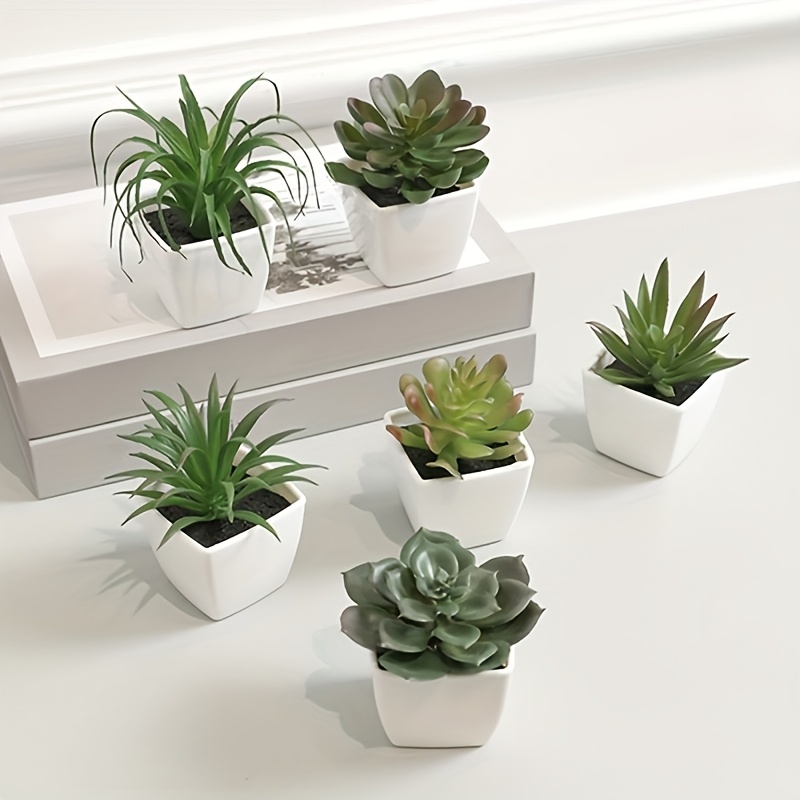 6pcs Mini Plant Pots, Artificial Succulent Greenery, Plastic White Pots for  Desktop, Window Display, and Bookshelf Decorations