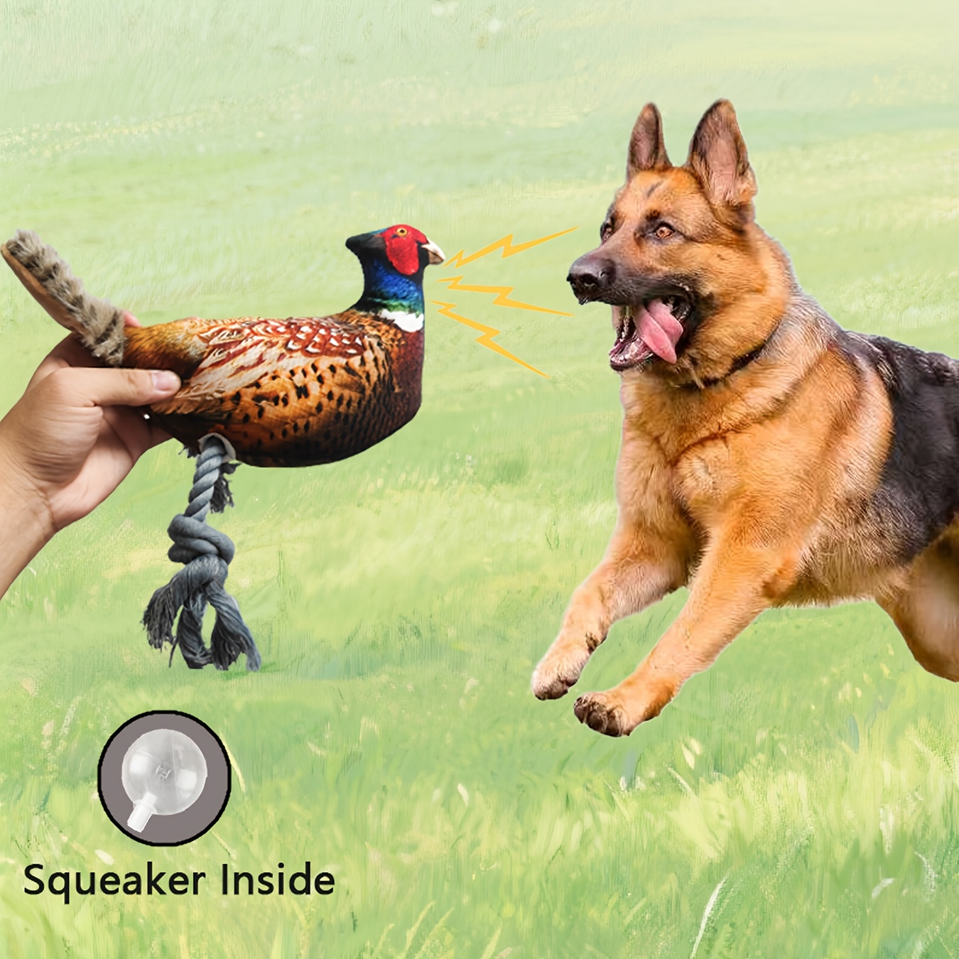 Realistic Pheasant Plush Toy, Bite-Resistant Fabric