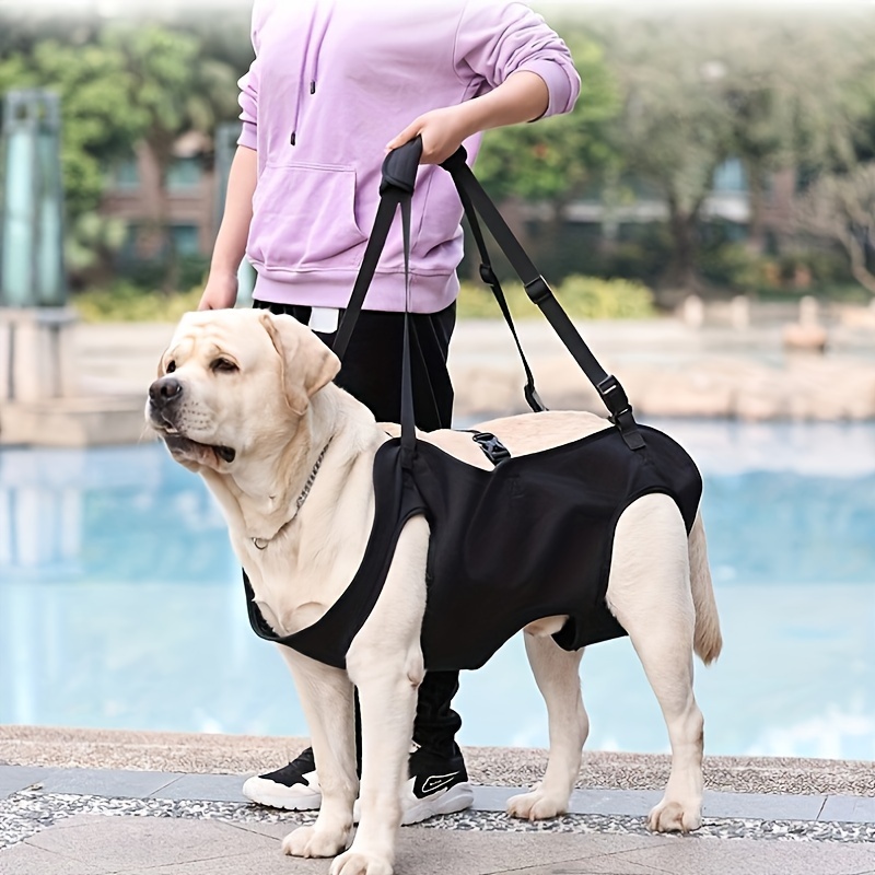 Hunde Stützgeschirr - Rehabilitation Schlinge Für Alte/verletzte Hunde, Verstellbar