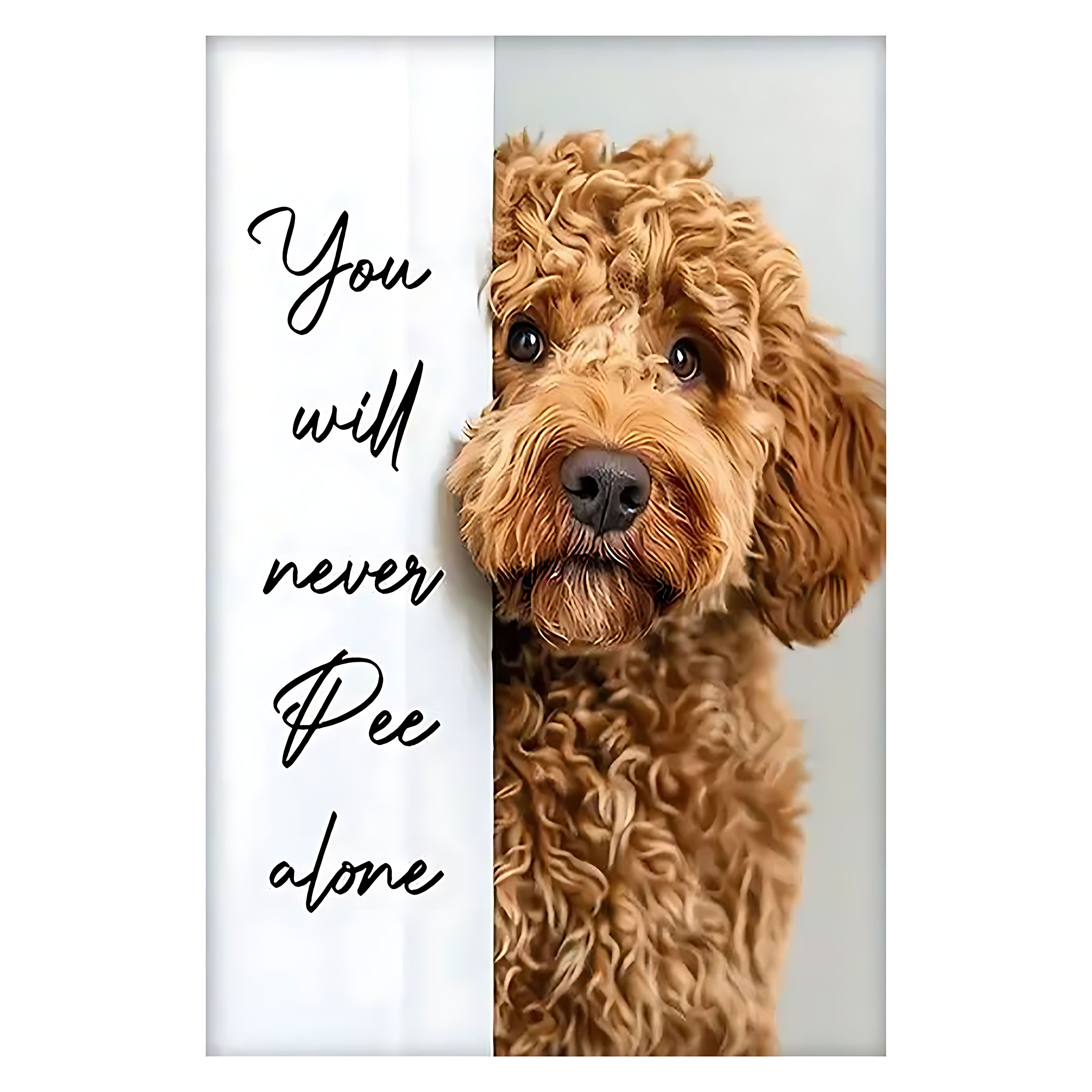 

: 'you Will Pee ' Canvas Wall Art, 12x18 Inch - Unique Gift For Pet Enthusiasts