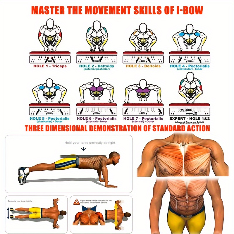 Lingpeng Portable Push-Up Board - Multifunctional, Foldable & Durable ABS for Strength Training & Chest Workouts, Color-Coded Muscle Focus details 4