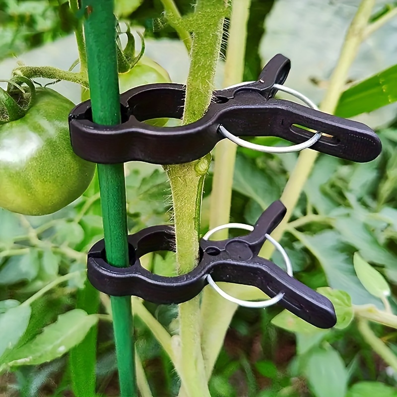 

10-piece Fish-shaped Garden Clips For Plant Support - Ideal For Tomatoes, Cucumbers & Flowers