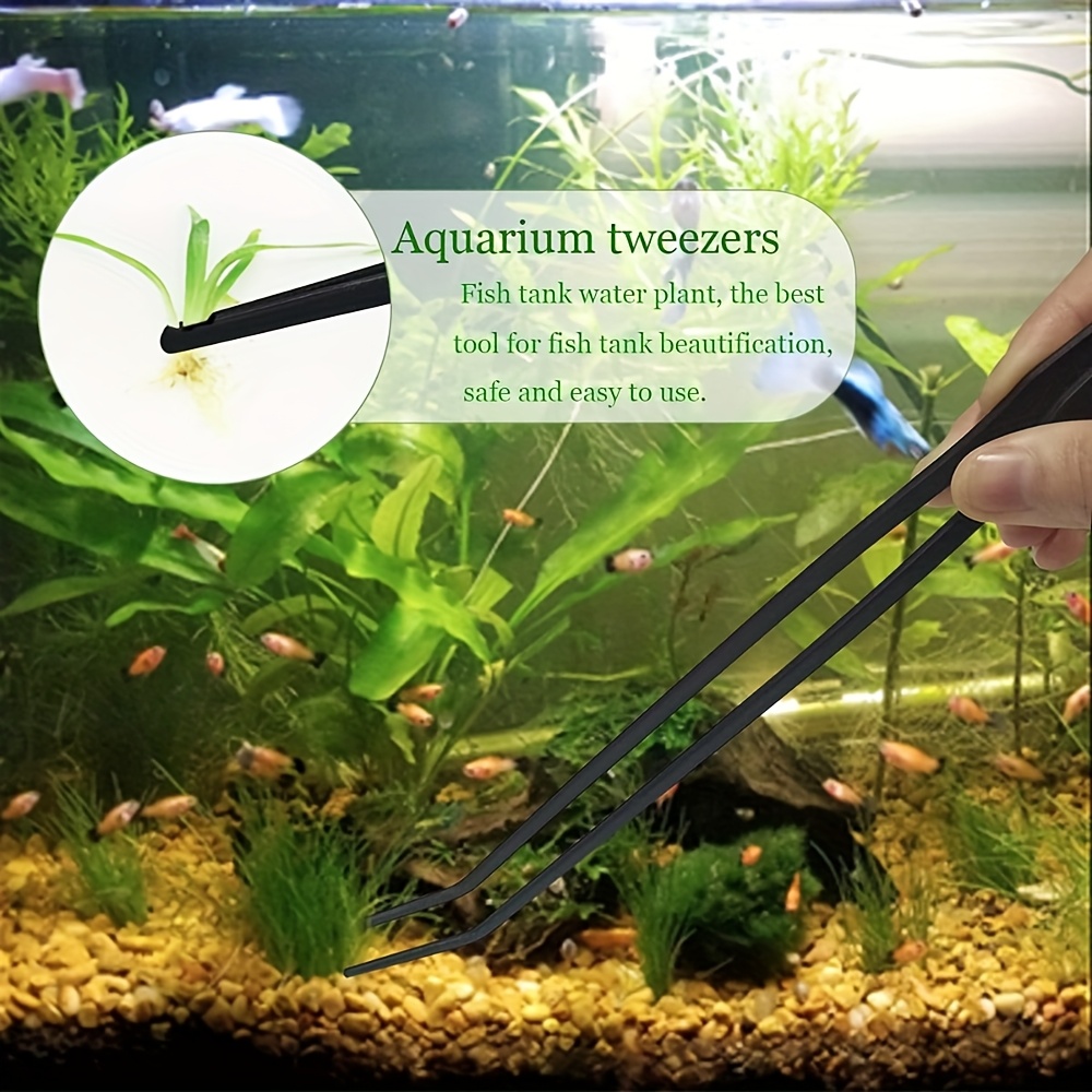 Fish Feeding Tools for Easy Handling: Ultimate Guide for Effortless Care
