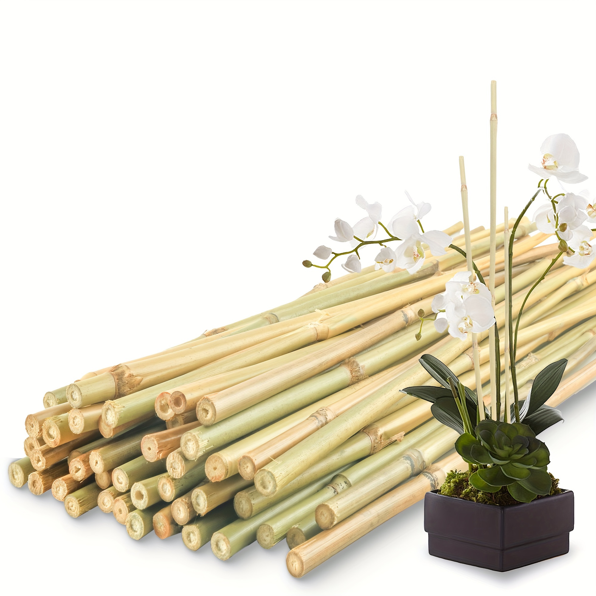 

50pcs Natural Bamboo Plant Stakes, Suitable For Indoor And Outdoor Plants, 24-inch Bamboo Sticks Garden Support Stakes, Suitable For Tomato, Vegetable, , Potted Rock Climbing Plants