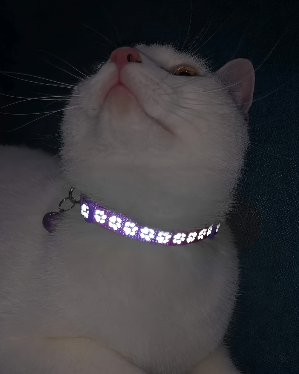 2pcs reflective cat collars with bells durable nylon   for kittens small dogs detachable accessory collars for cats Product details 5