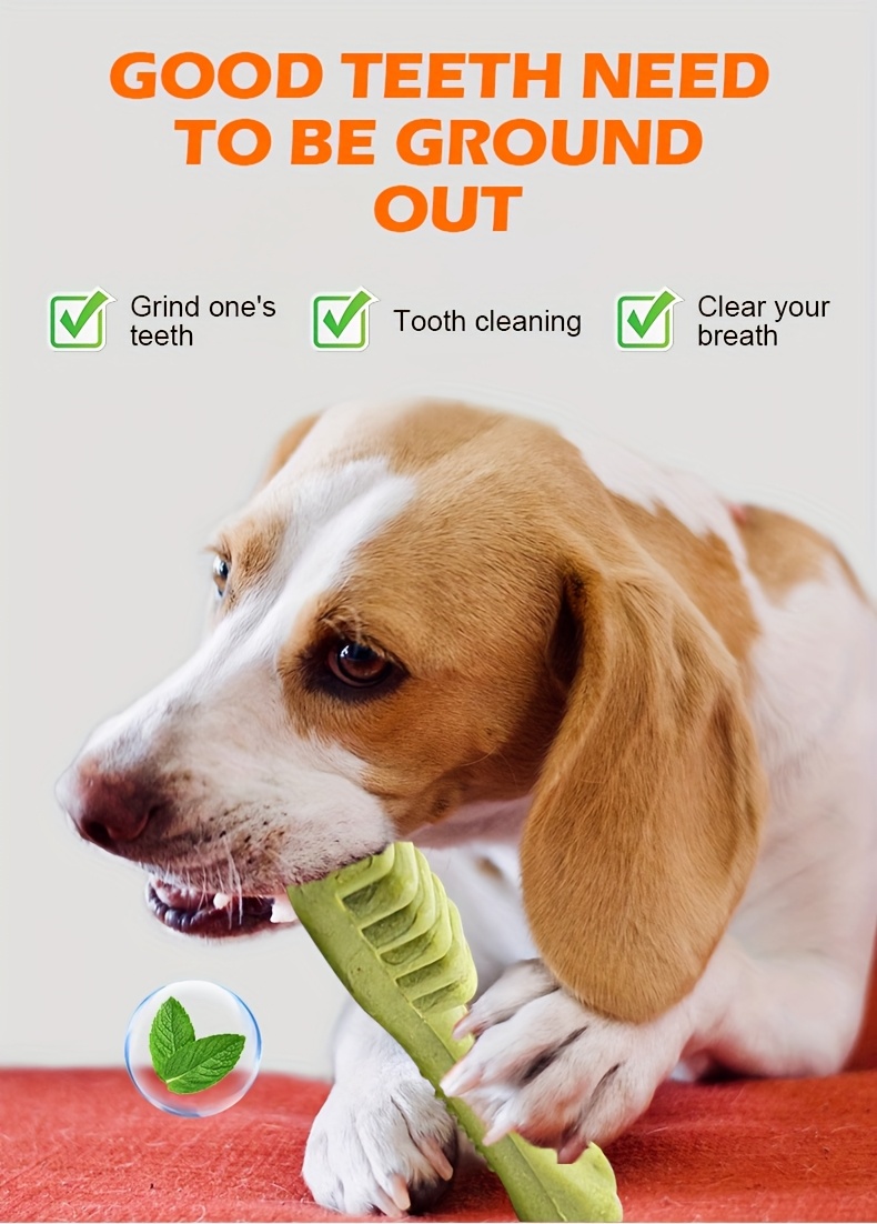 Dog chewing a toothbrush-shaped dental treat