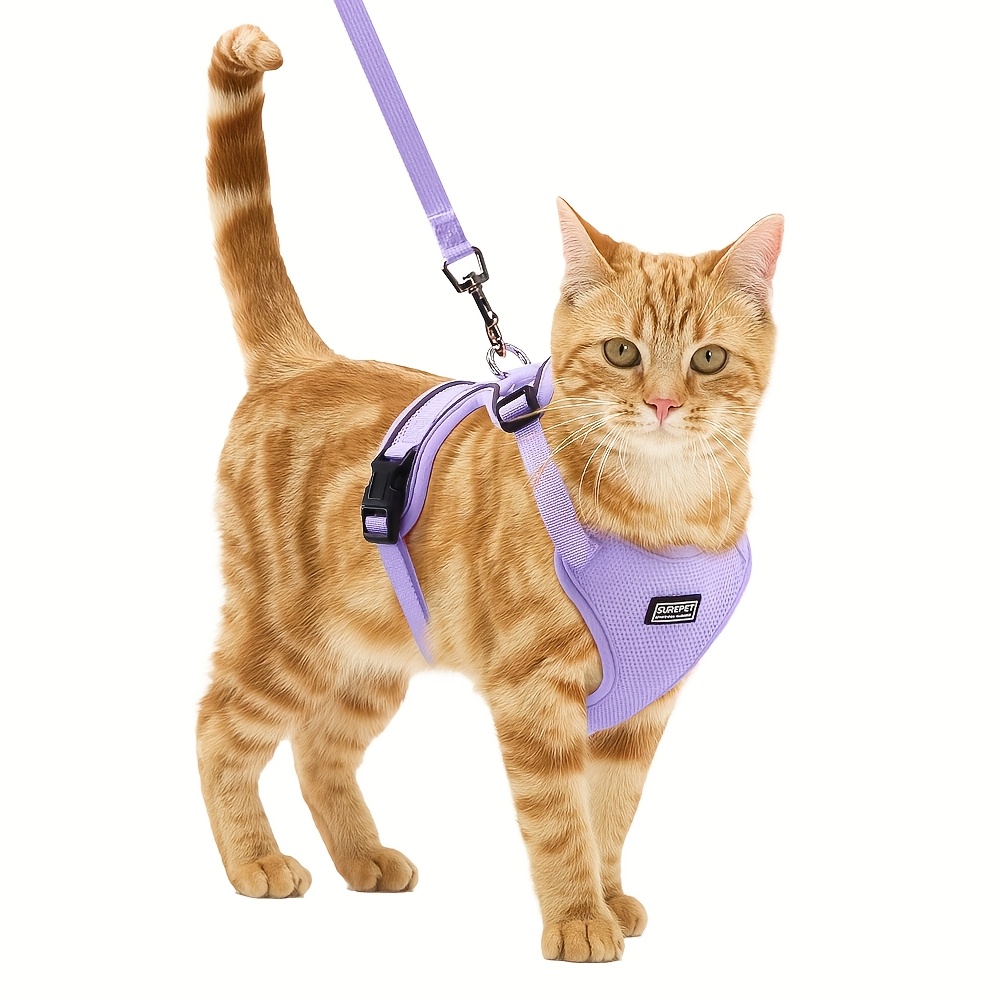 10pcs Cat Anti-Scratch Tape Transparent Double-Sided Furniture Protector