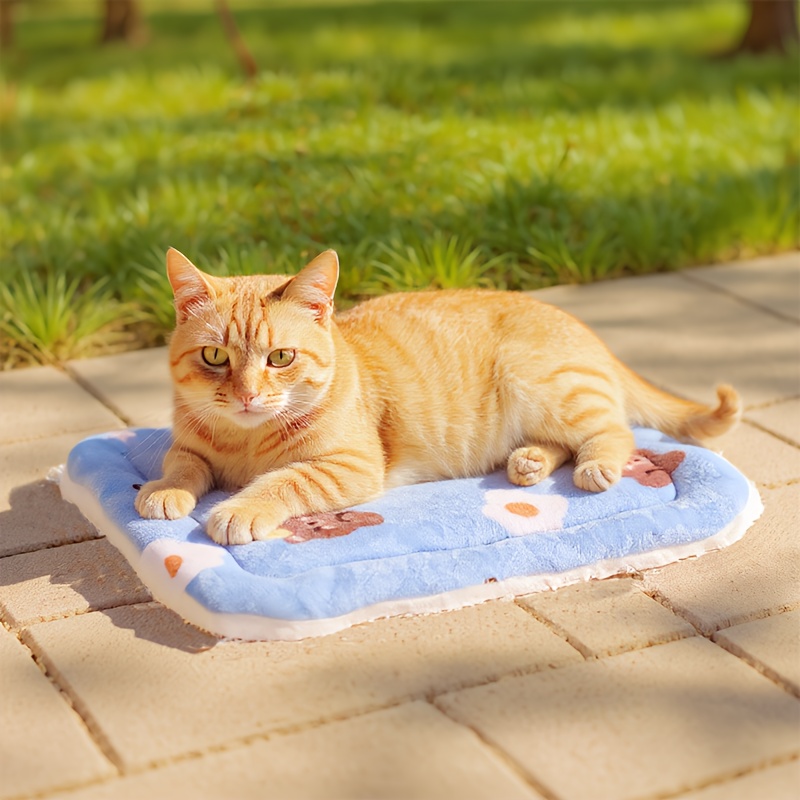 extra warm winter plush pet mat thick soft cushioned bed with cute non slip washable small animal mattress for cats rabbits small dogs easy clean indoor outdoor use 45x35  7x13 8in 3 colors ideal gift for pet lovers Product details 4