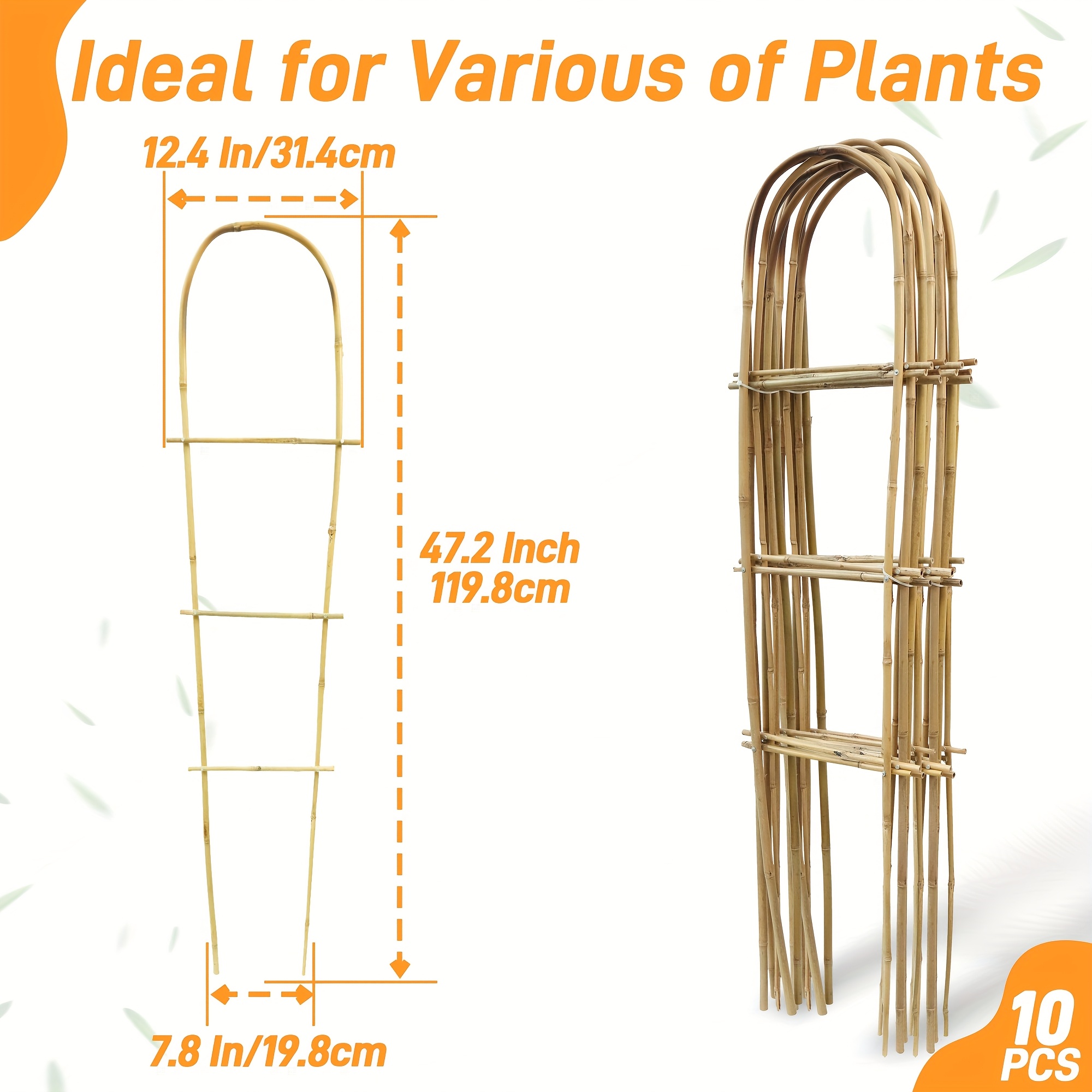 Climbing Plants Support