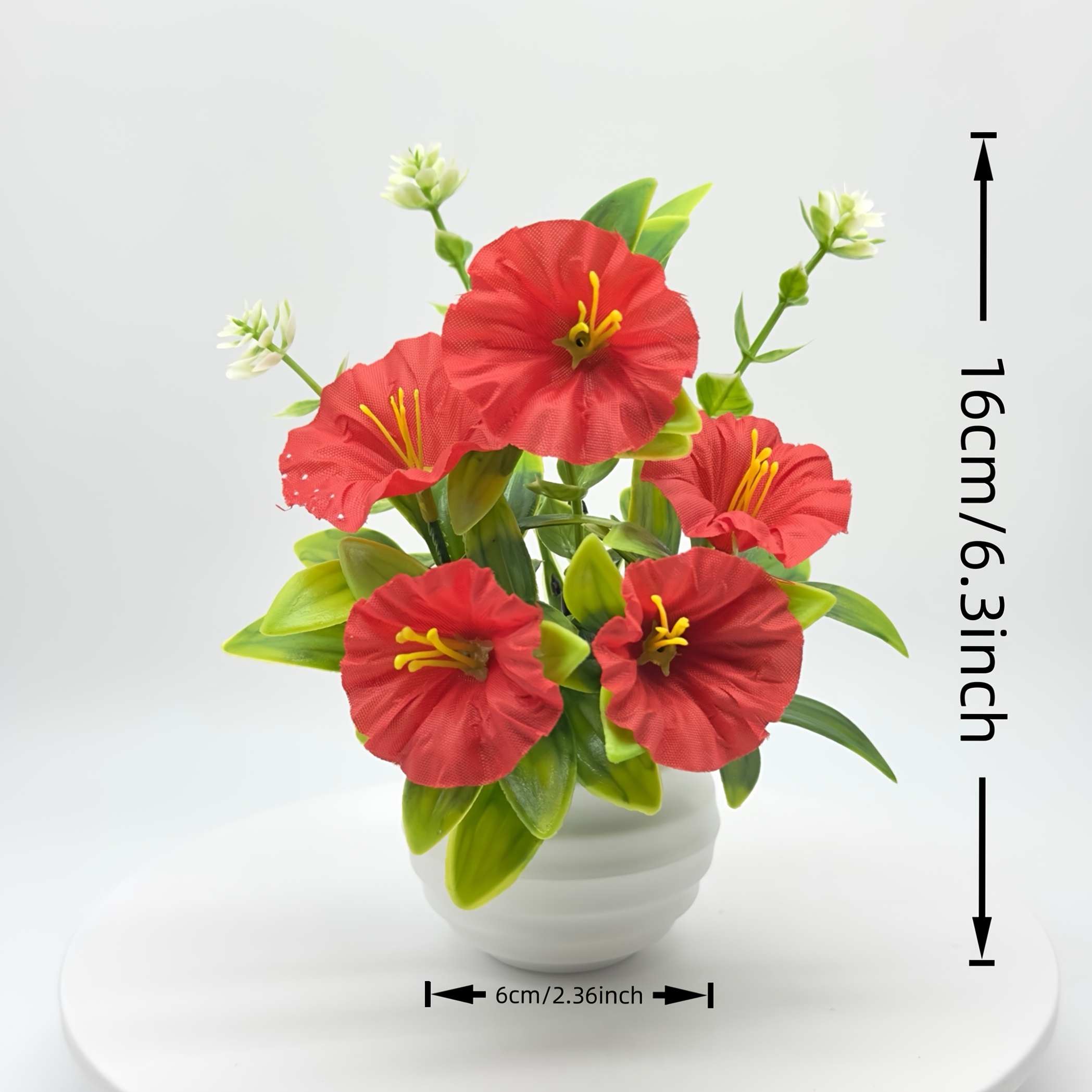 1/6 Set Morning Glory bloemen met pot