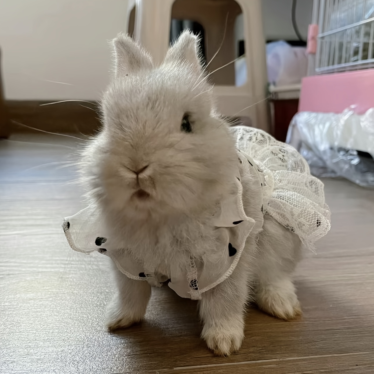 Adorable * Bunny Dress Vest Set with Lace Skirt - Cozy Acrylic Pet Outfit  for /Medium Rabbits & Kittens, Ideal for Parties, Travel & * Rabbit  Accessories