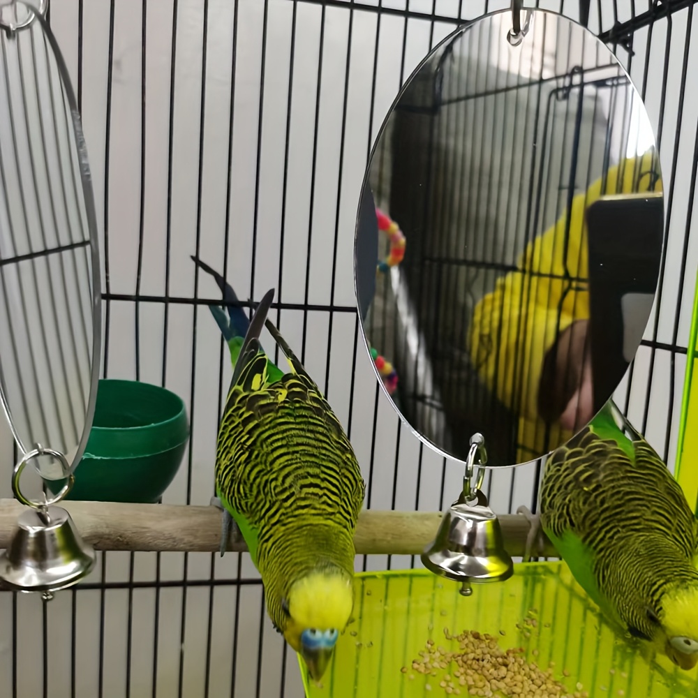 Vogelspiegel Mit Glocke – Spielzeug Für Wellensittiche, Nymphensittiche & Papageien, Mit Aufhängekette