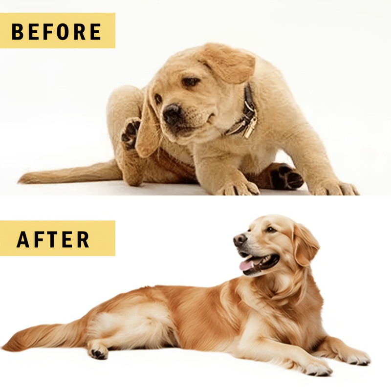 FAELUTE- Pet Skin Care Spray for Dogs And Cats - Supports Overall Skin And Fur for Puppies And Kittens. Light Fresh Scent Keeps Pets Comfortable Throughout The Day. Mild Ingredients for Long Term Daily Use