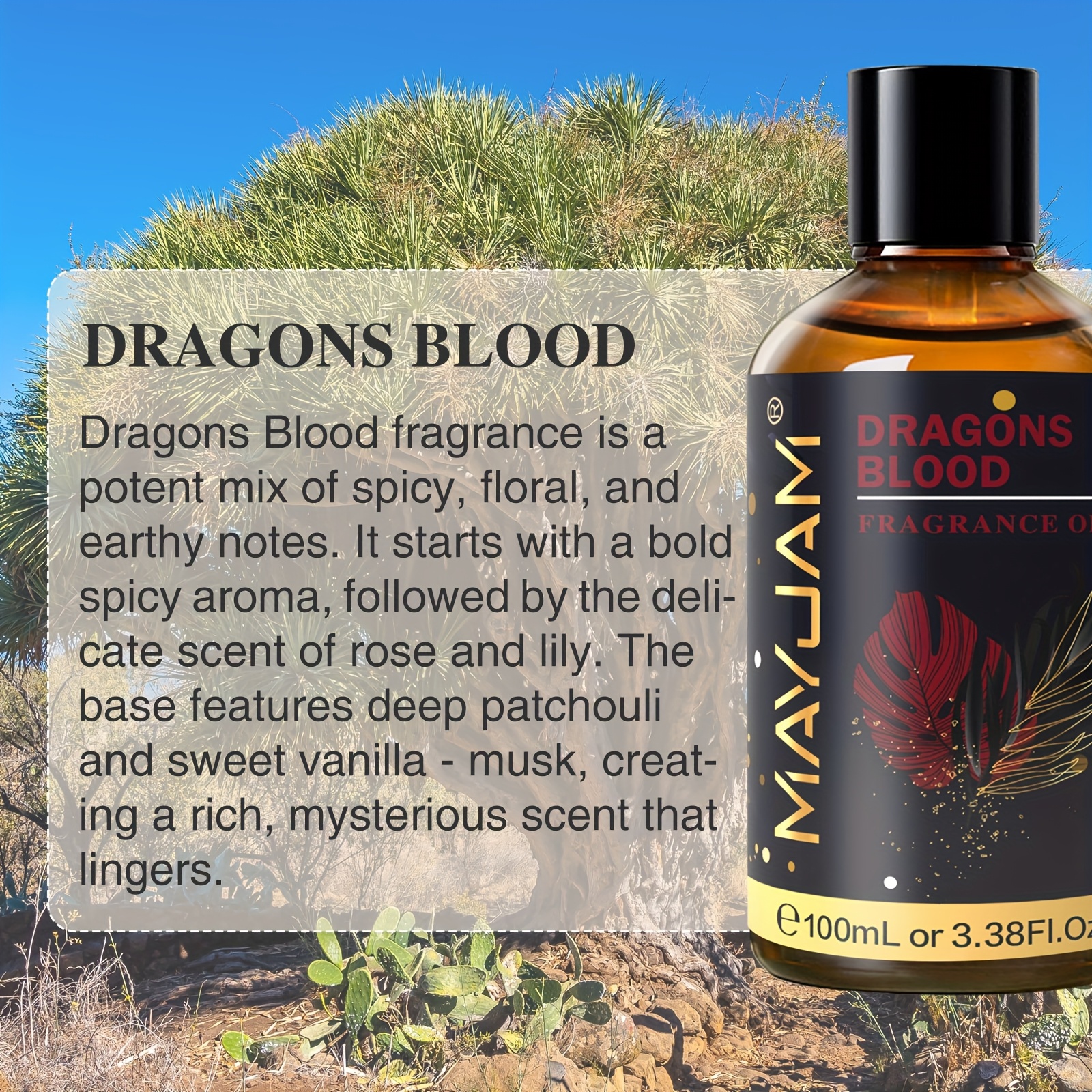 1 Bottle of MAYJAM Dragons Blood Fragrance Oils 100ml/3.38fl.oz, Long-Lasting Fragrance & Multiple Usages of Air Humidifiers, Diffusers, Oil Burners, Scented Candle Making & Wax Melts
