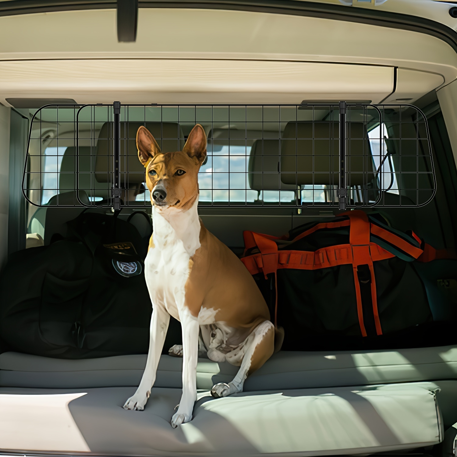 Car Dog Fence, Car Protective Net, Adjustable Width, Trunk Dog Isolation Net, Dog Protective Net With Seat Belt, Car Dog Net