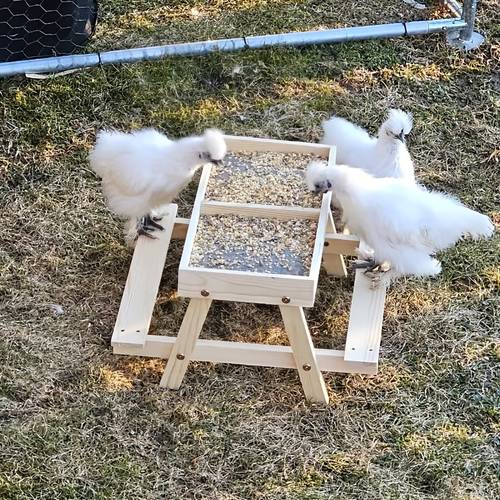 wooden farm poultry feeder chicken coop duck coop park chicks ducks squirrel dining table