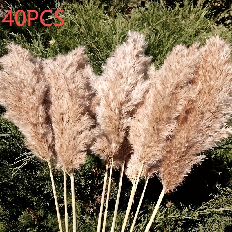 40pcs Boho Style Wheat Straw Pampas Grass - 17. 3" Fluffy Natural Dried Pompass Grass Stems, Non-electric Hanging Ornament For Wedding & Love Themed Decor