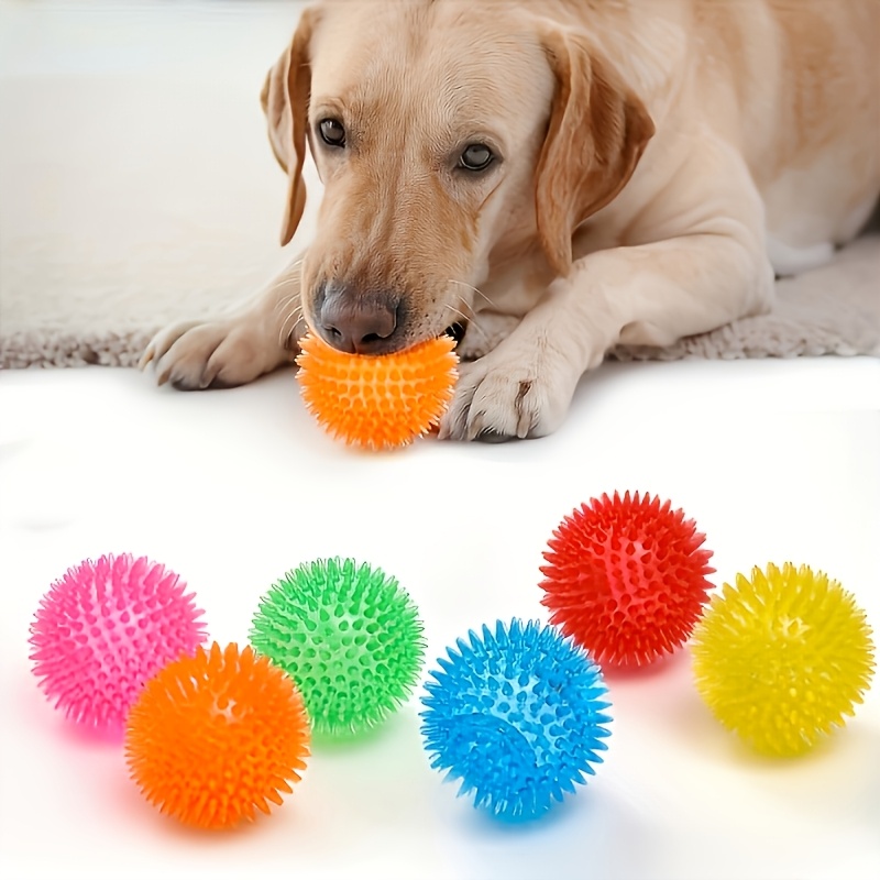 2pcs Squeaky Dog Toys in Random Colors