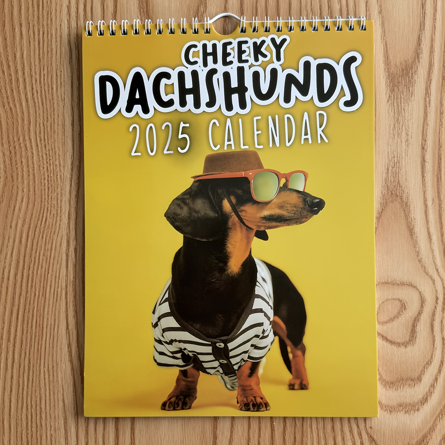 

2025 Cheeky Dachshunds Wall Calendar, English Language, Paper Material - Monthly View Dog-themed Organizer