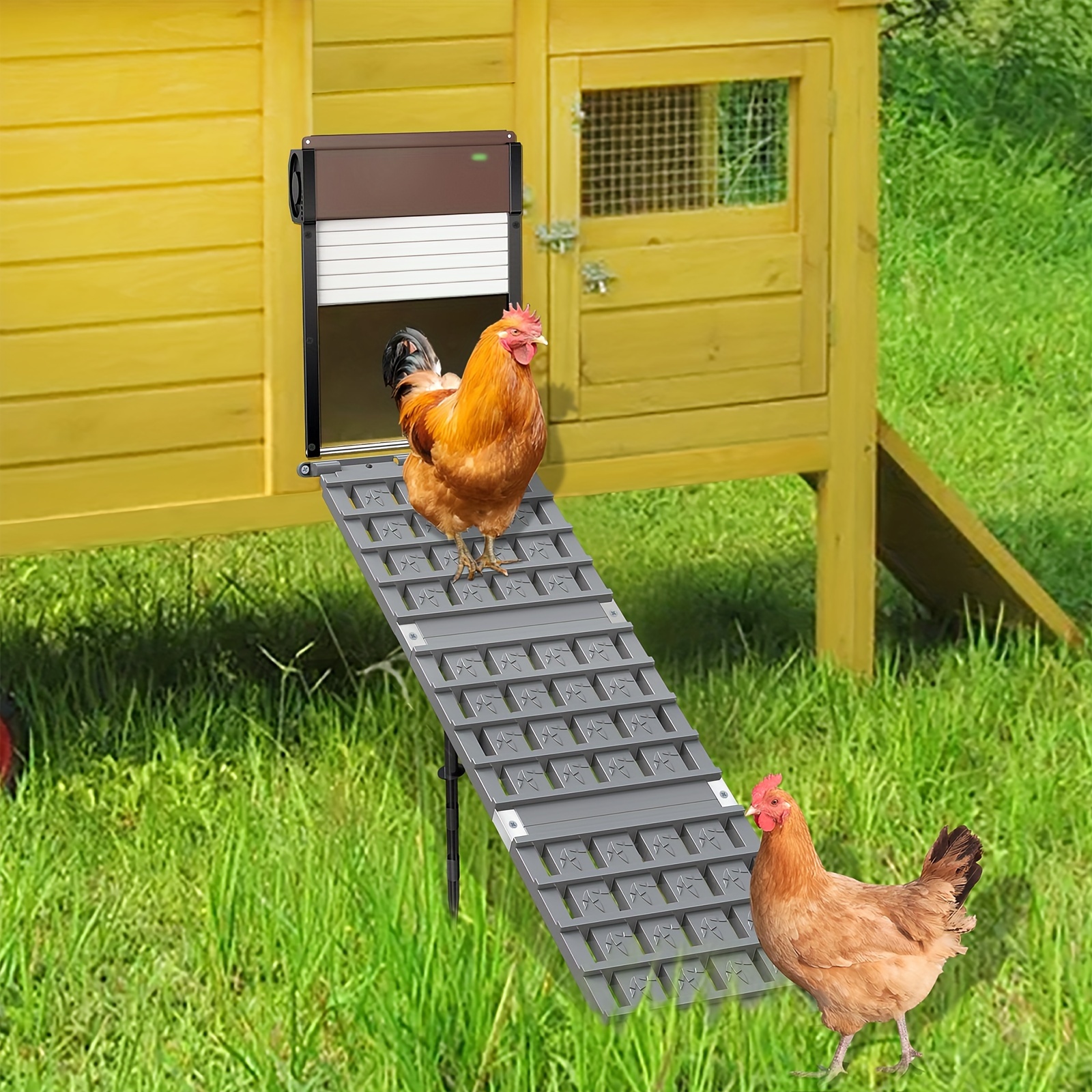 Chicken Coop Ramp Chicken Ladder Coop Henhouse Chicken Ramp Temu