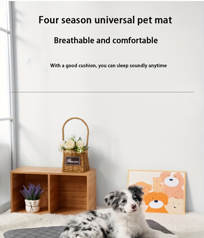   high quality egg sponge filled dog mat cat   removable and washable scratch resistant and bite resistant   non slip suitable for indoor and outdoor use for cats and dogs ideal comfortable sleeping and play area for pets Product details 0